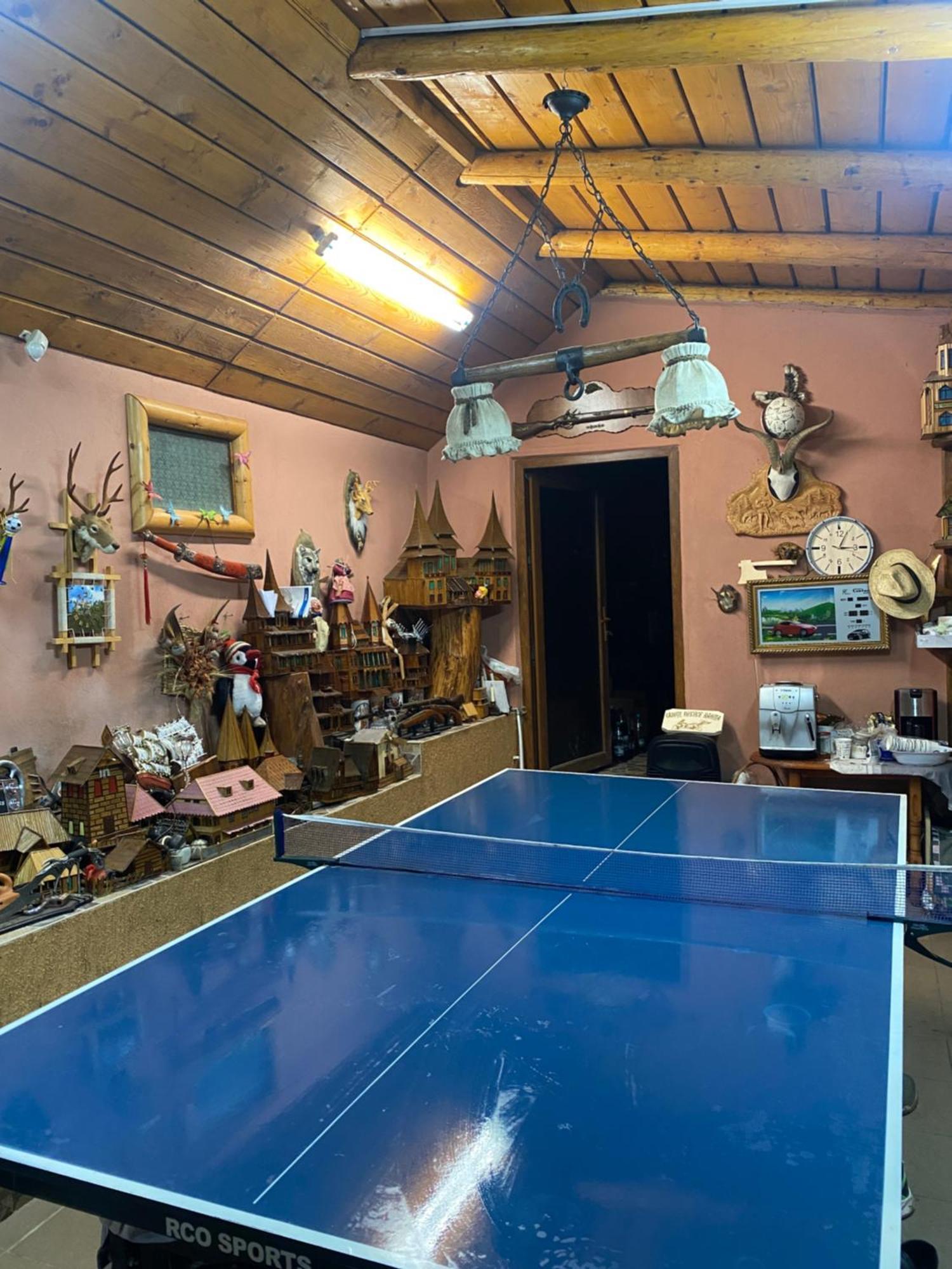 Cabana Cu Teren De Tenis -- Etaj Banita المظهر الخارجي الصورة